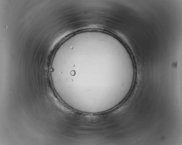 X0000113760827200910211207