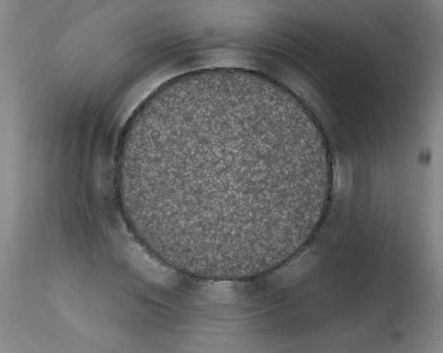 X0000113760828200910211207
