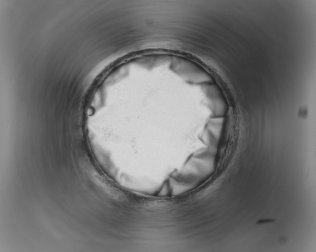 X0000113760830200910211207