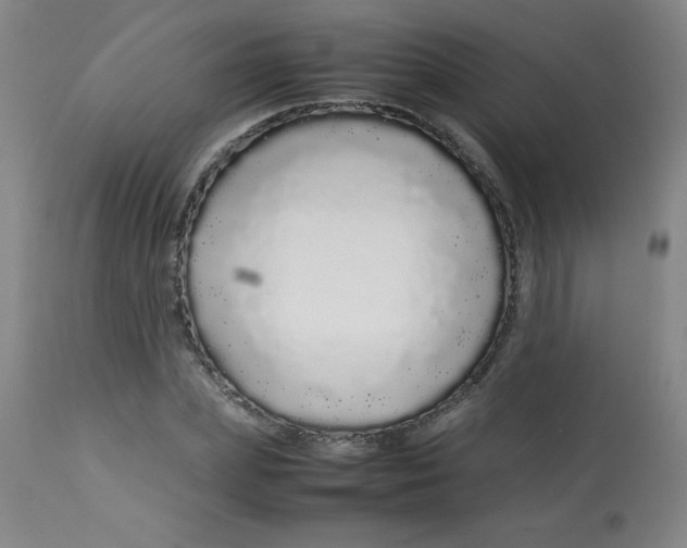 X0000113760831200910211207