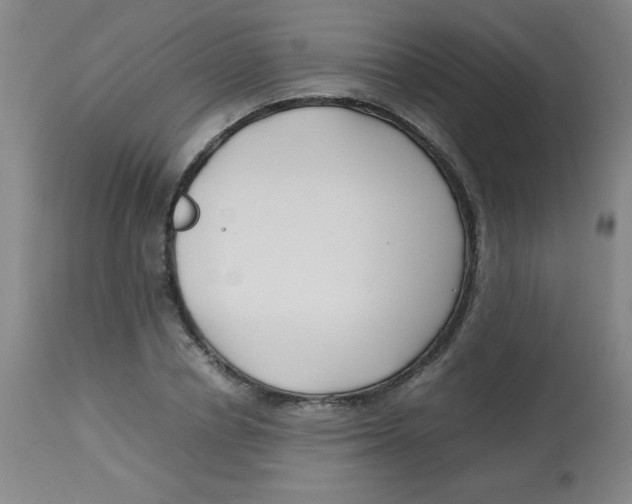 X0000113760834200910211207