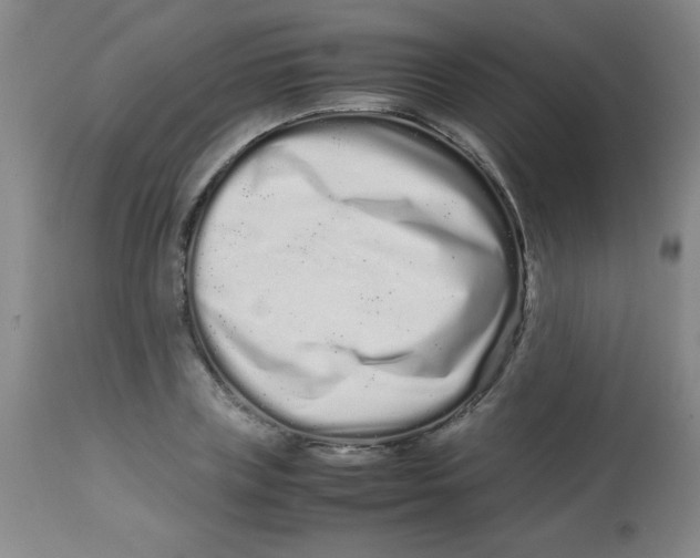 X0000113760835200910211207