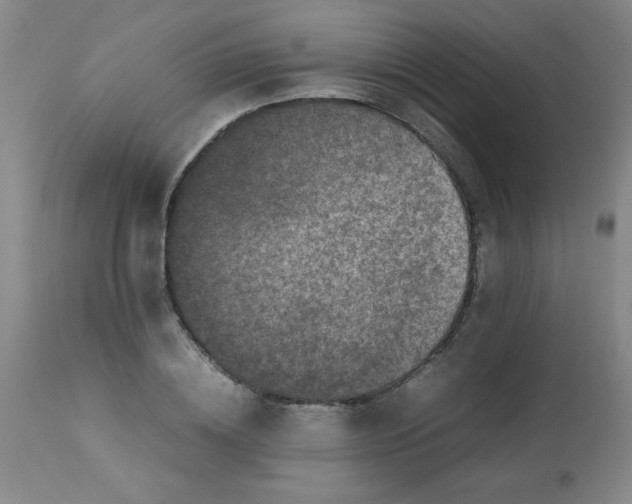 X0000113760836200910211207