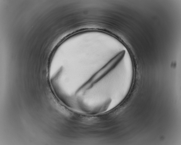 X0000113760837200910211207