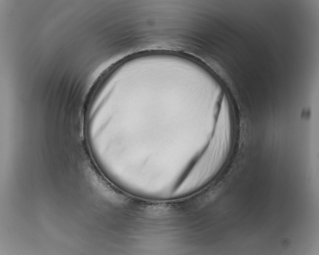 X0000113760838200910211207