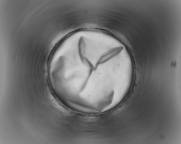X0000113760839200910211207