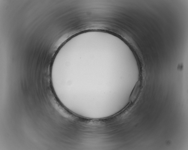 X0000113760842200910211207