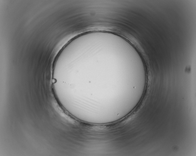 X0000113760844200910211207