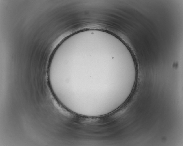 X0000113760845200910211207