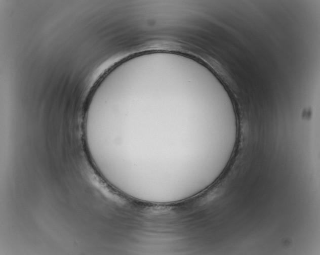 X0000113760846200910211207