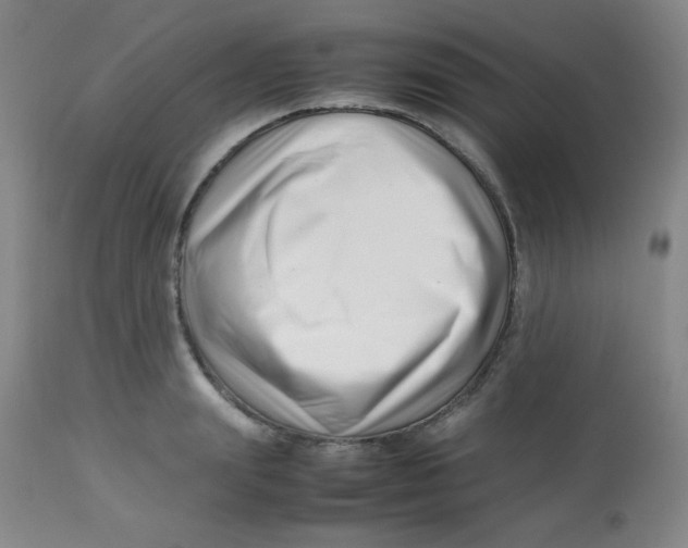 X0000113760847200910211207