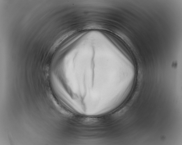 X0000113760849200910211207
