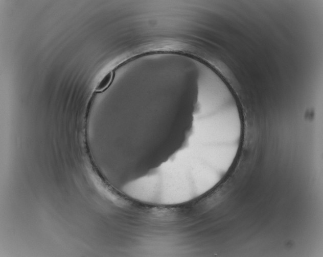 X0000113760850200910211207