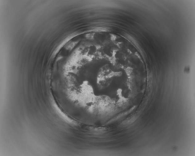 X0000113760851200910211207