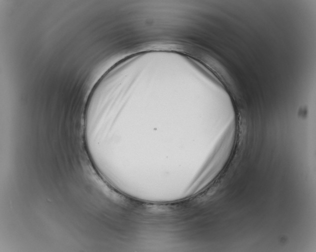 X0000113760852200910211208