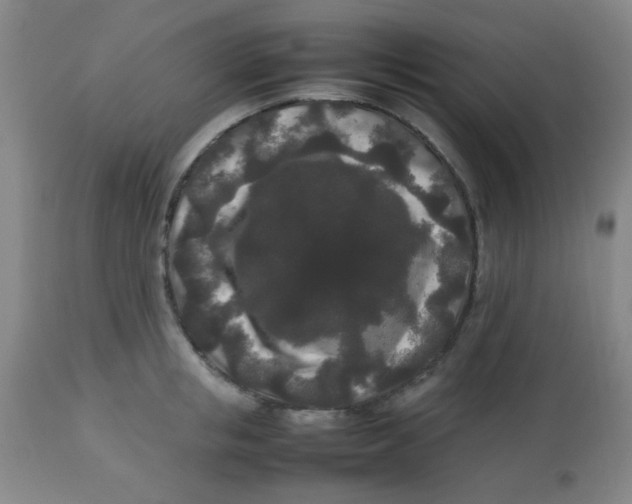 X0000113760853200910211208
