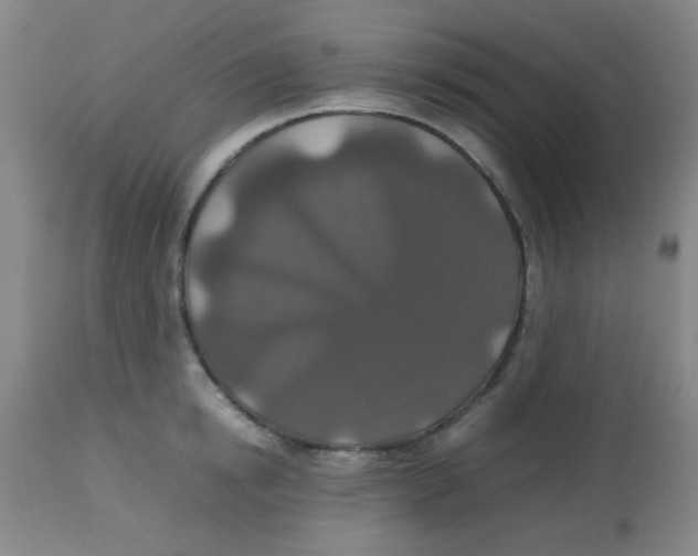 X0000113760854200910211208