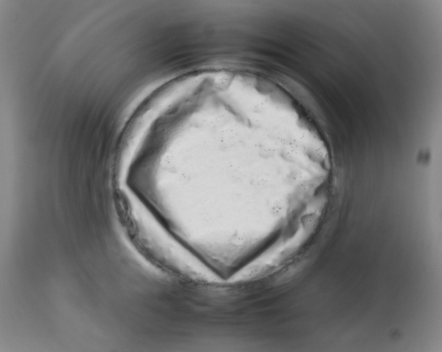 X0000113760855200910211208