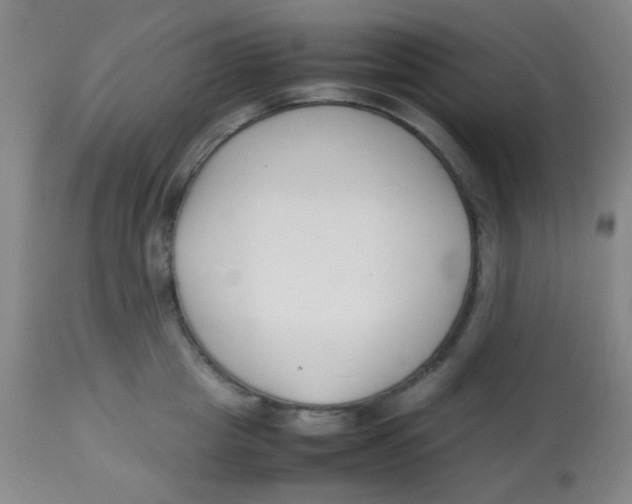 X0000113760857200910211208