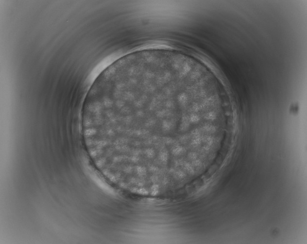 X0000113760858200910211208