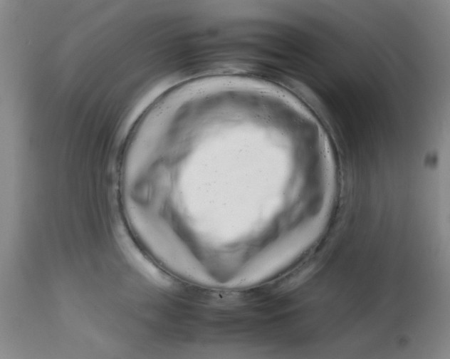 X0000113760859200910211208
