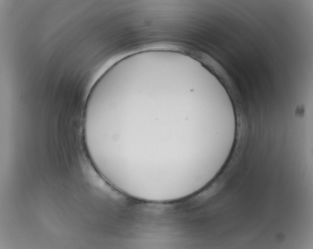 X0000113760860200910211208