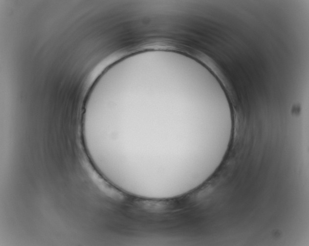 X0000113760861200910211208