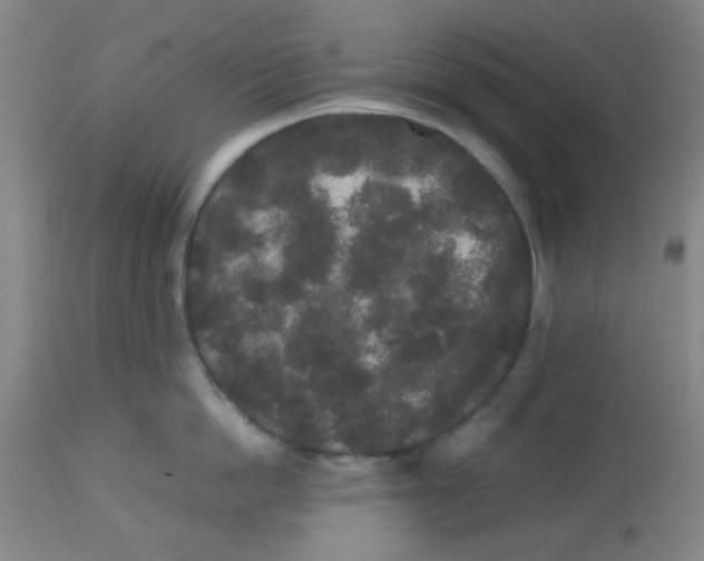 X0000113760862200910211208