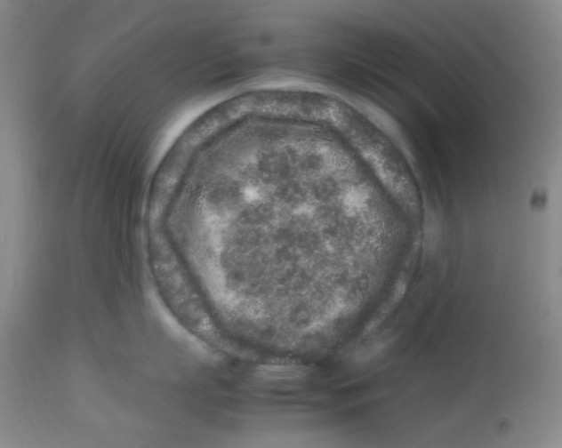 X0000113760863200910211208