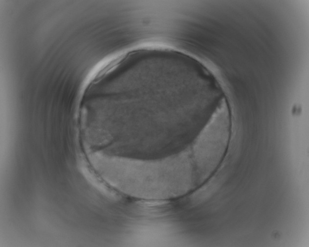 X0000113760864200910211208
