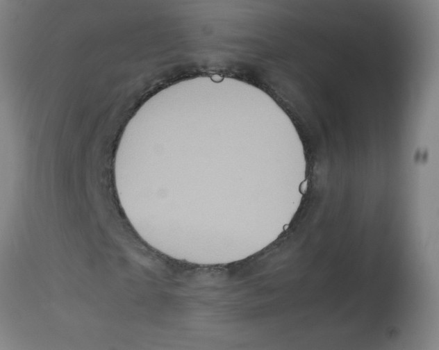 X0000113760865200910211207