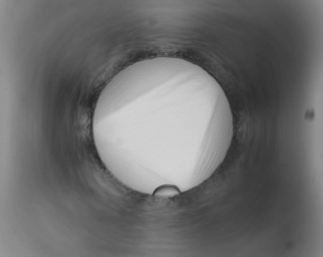 X0000113760866200910211207