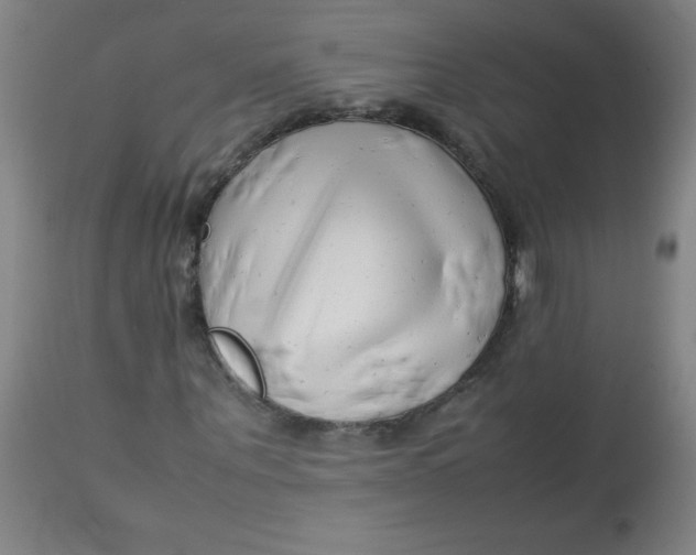 X0000113760867200910211207