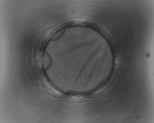 X0000113760868200910211207