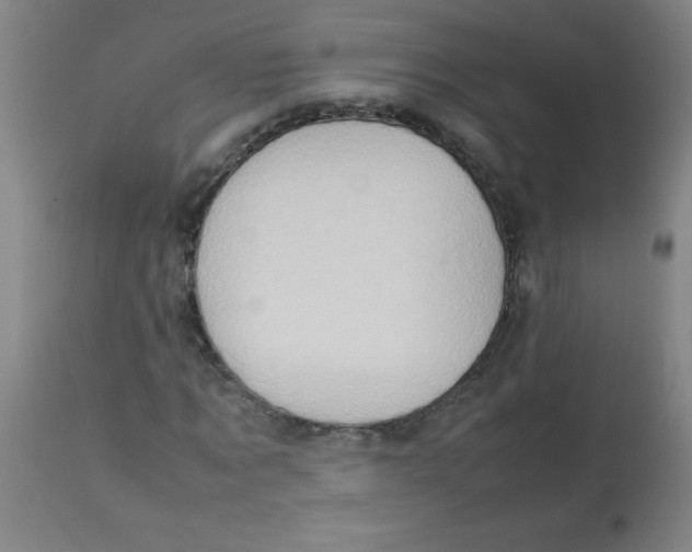 X0000113760869200910211207