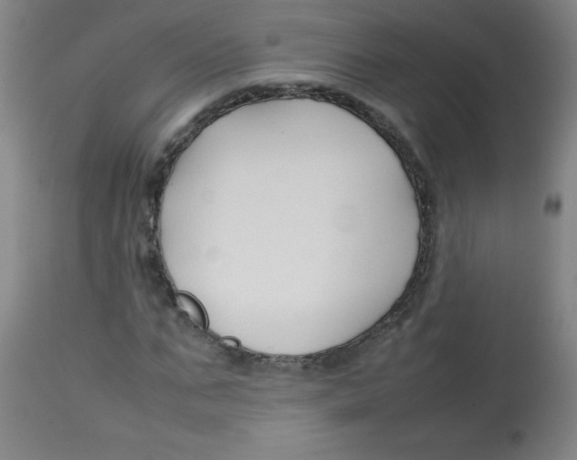 X0000113760871200910211207