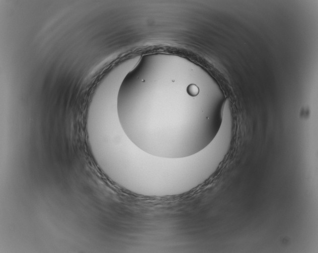 X0000113760872200910211207