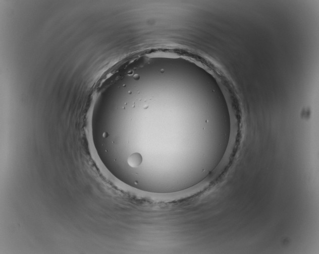 X0000113760873200910211207