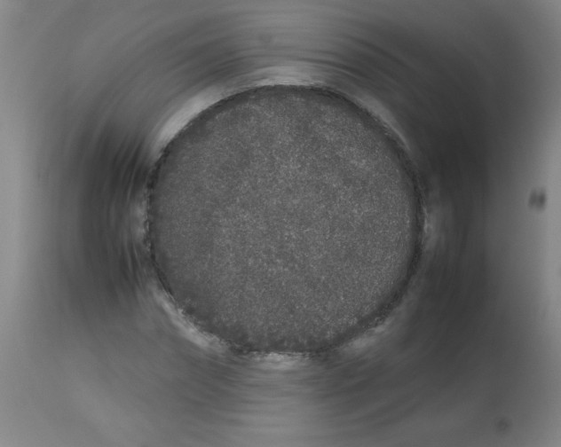 X0000113760874200910211207