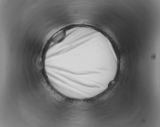 X0000113760876200910211207