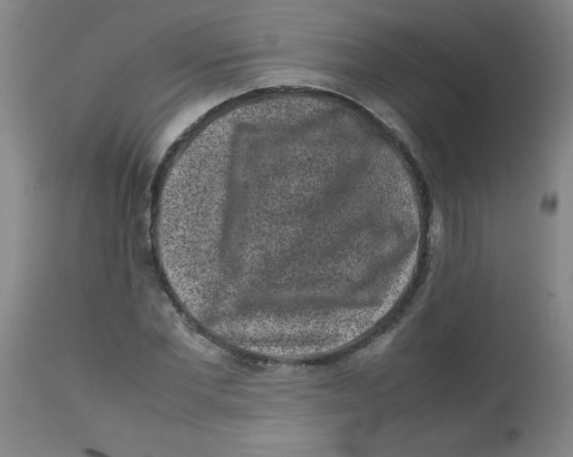 X0000113760877200910211207