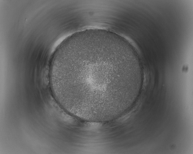 X0000113760878200910211206