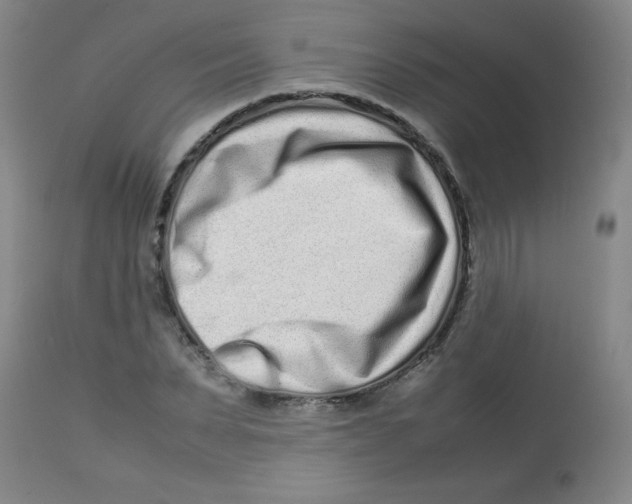 X0000113760879200910211206