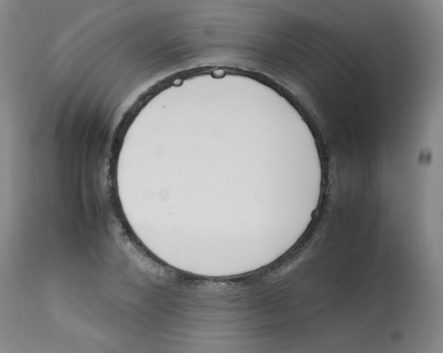 X0000113760880200910211206