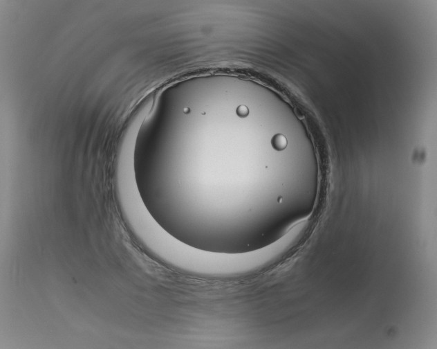 X0000113760881200910211206