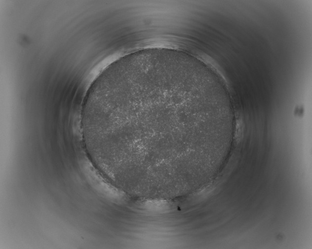 X0000113760882200910211206