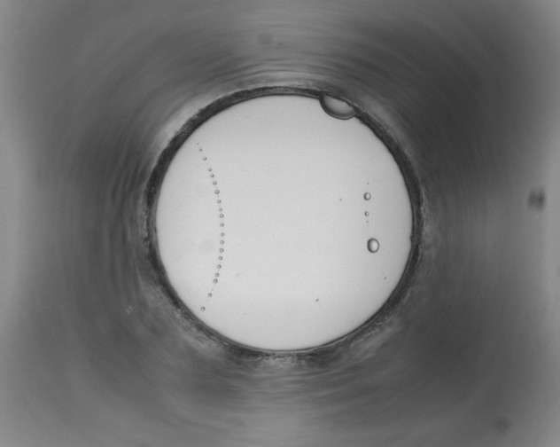 X0000113760883200910211206