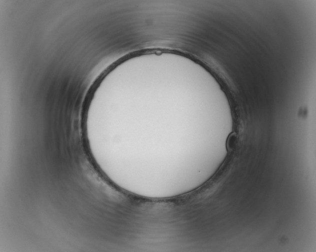 X0000113760884200910211206