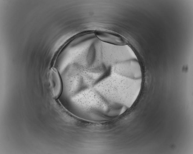 X0000113760885200910211206