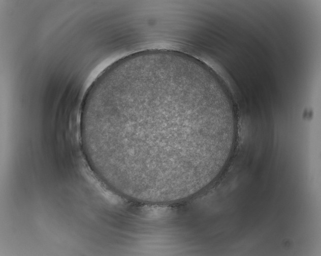 X0000113760886200910211206